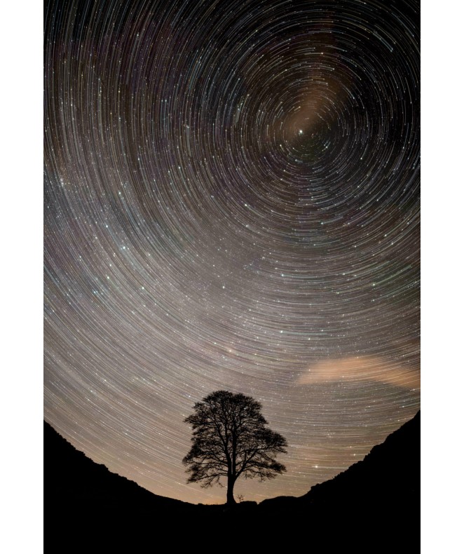 Sycamore Gap Starswirl